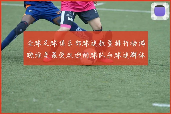 全球足球俱乐部球迷数量排行榜揭晓谁是最受欢迎的球队和球迷群体