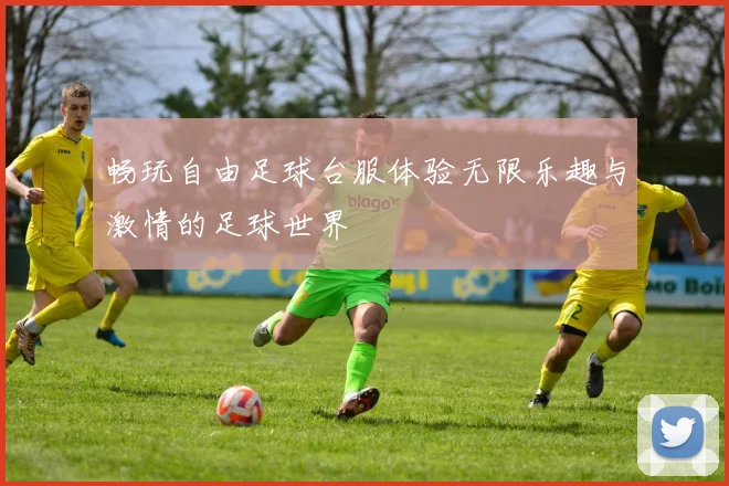 畅玩自由足球台服体验无限乐趣与激情的足球世界