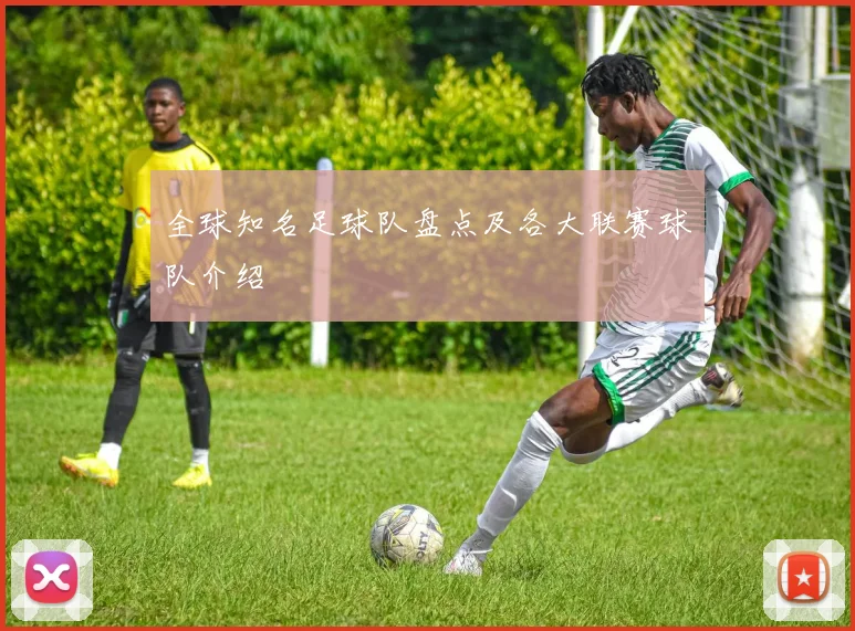 全球知名足球队盘点及各大联赛球队介绍