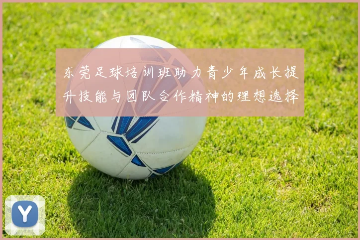 东莞足球培训班助力青少年成长提升技能与团队合作精神的理想选择