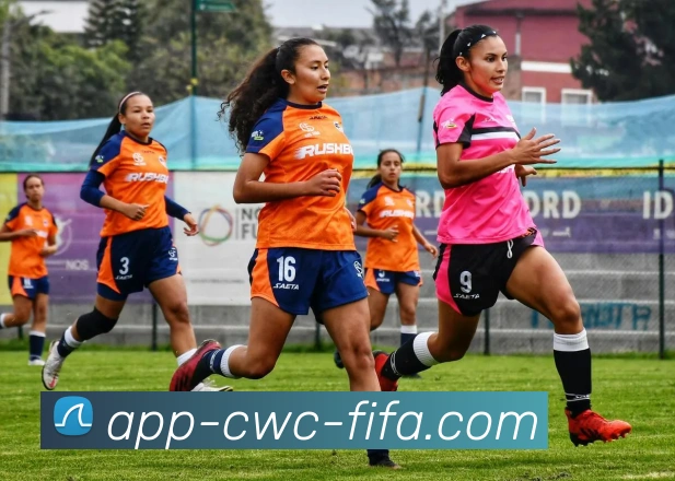 世界杯下注APP 高清赛事图